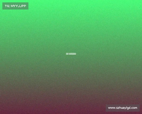 十六 赛事显示系统